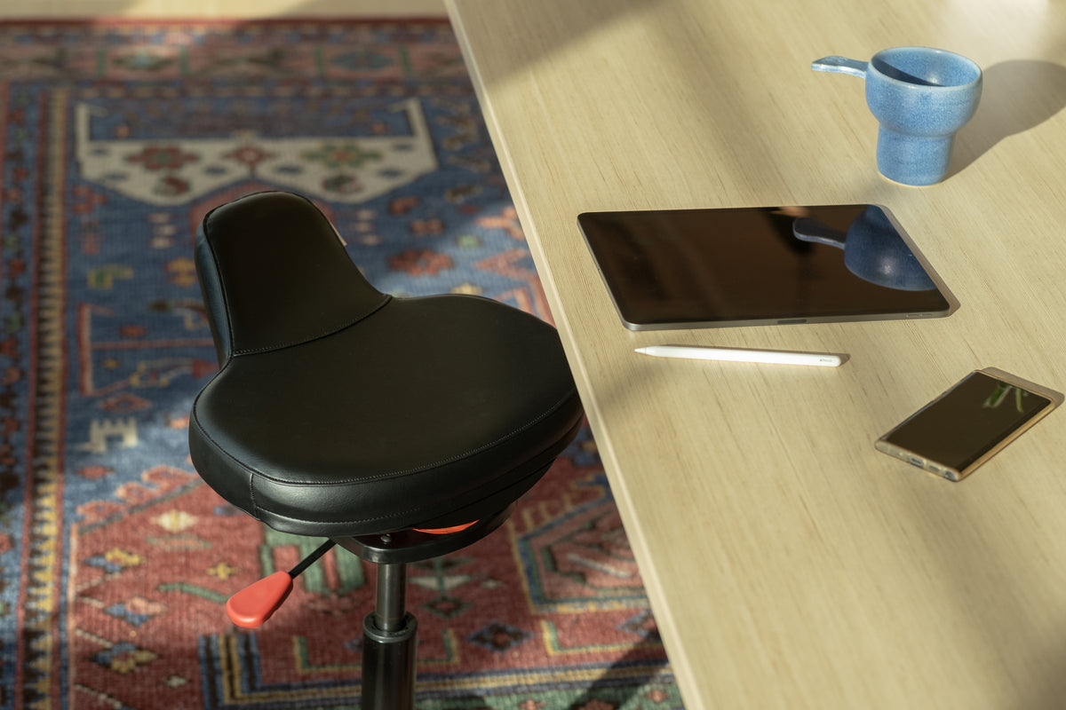 Black Ariel 2.0 at a desk